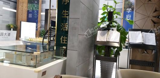 万科苏高新·中央公园实景图
