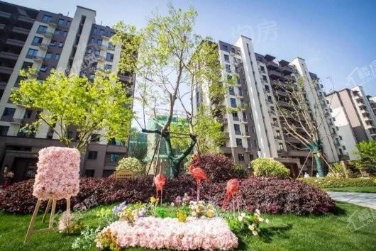 金科·海昱东方实景图