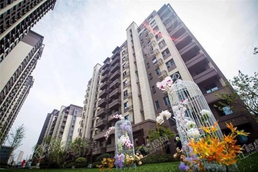 金科·海昱东方实景图