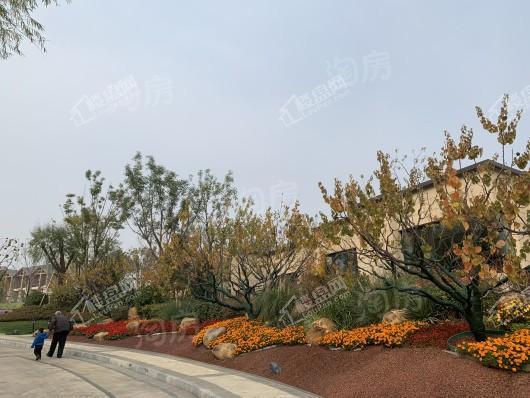 恒大十里温塘实景图