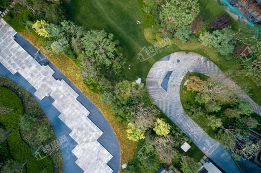 金辉中央云著实景图