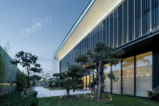 金辉中央云著实景图