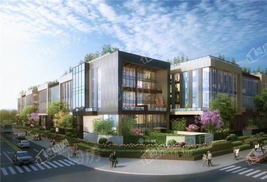 天创蓉耀效果图