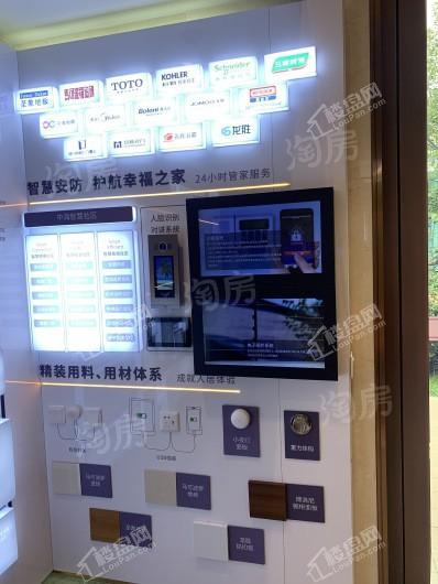 中海丽春湖墅实景图