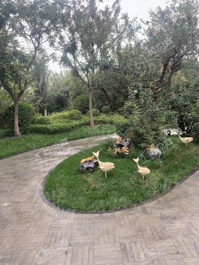 中海丽春湖墅实景图