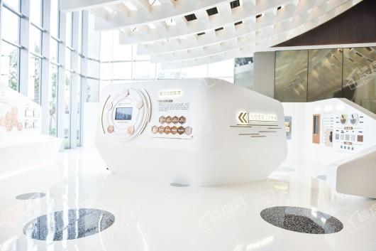 星河·东悦湾实景图