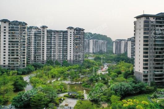 科城山庄锦泽园实景图