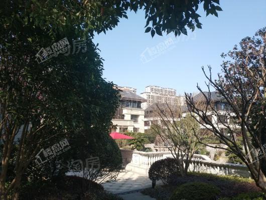 天和尚海庭前效果图