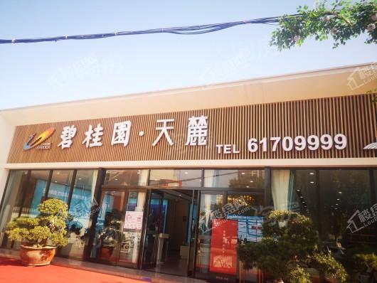 碧桂园天麓实景图