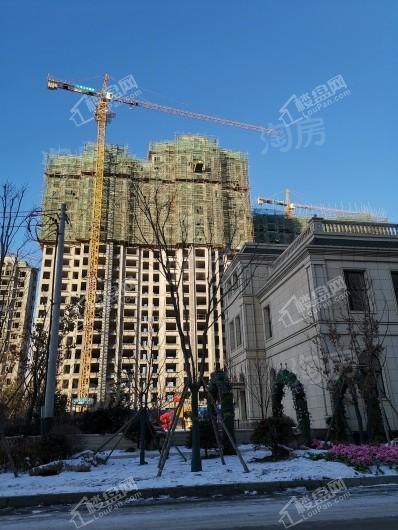阳光美湖天地实景图