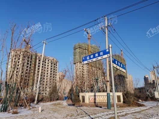 阳光美湖天地实景图