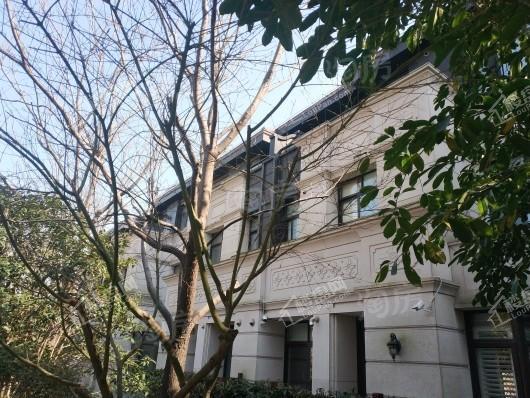 天和尚海庭前效果图