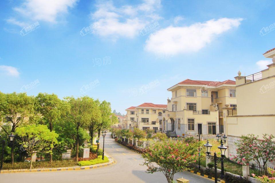 恒大山水龙盘实景图