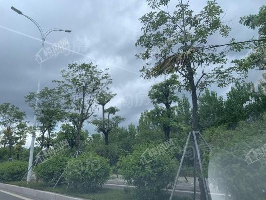 中海观澜府实景图