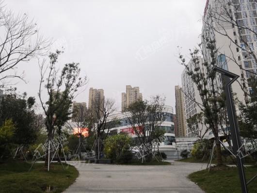 中海观澜府配套图