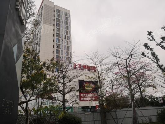 中海观澜府配套图