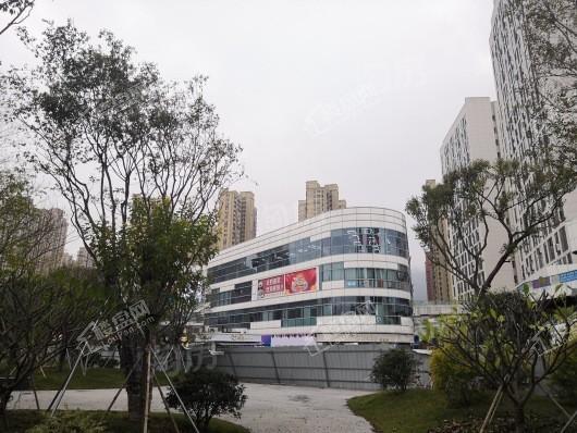 中海观澜府配套图