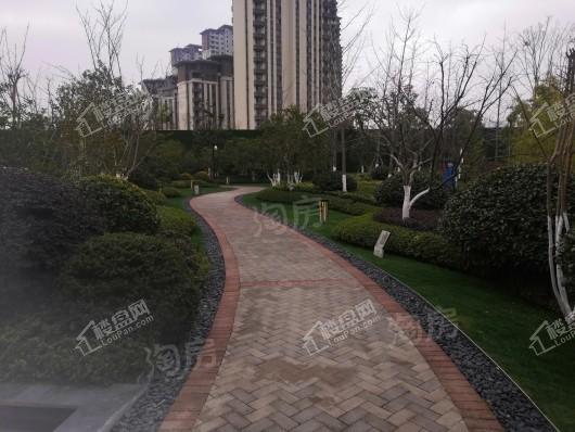 金隅大成郡实景图