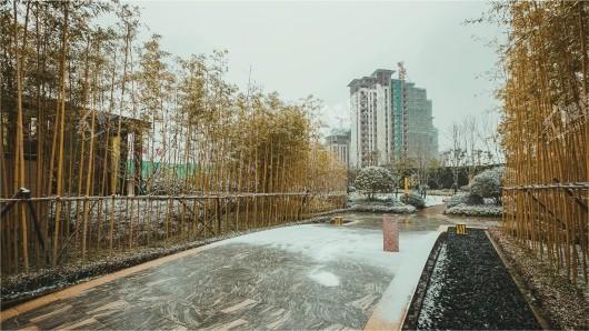 金隅大成郡实景图