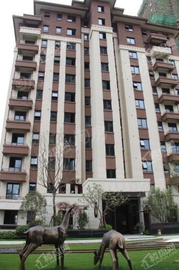 金隅大成郡实景图
