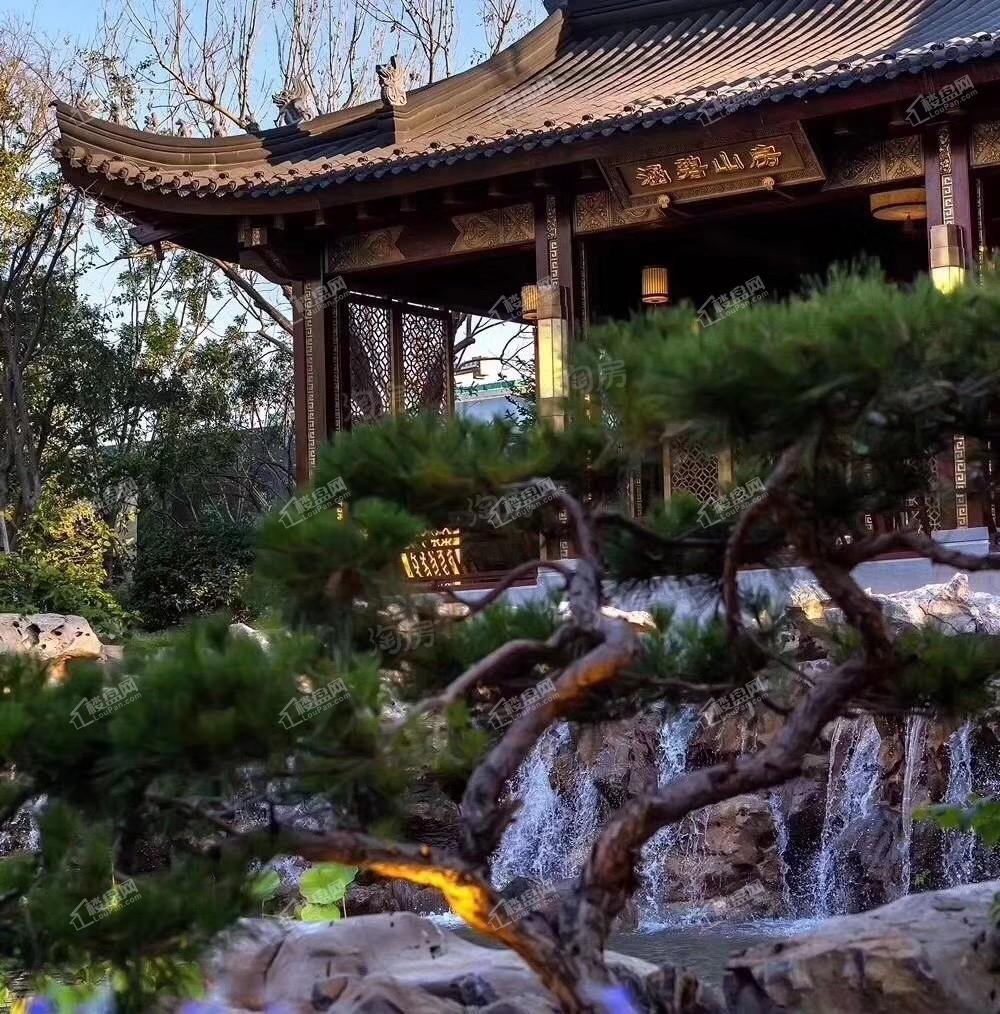 实景图