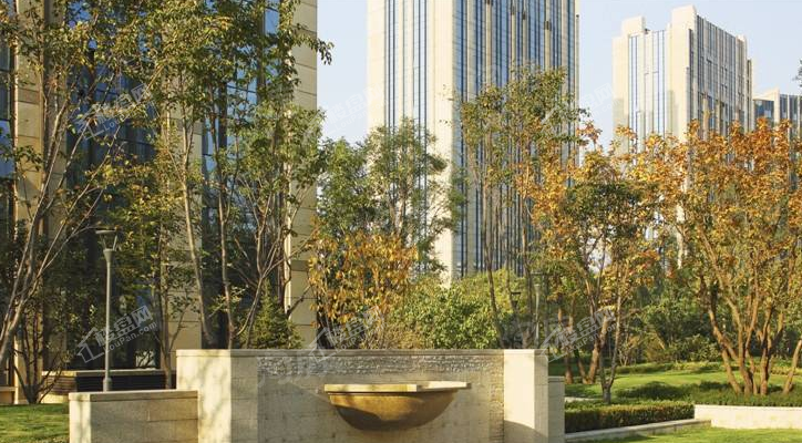 实景图
