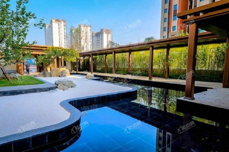 实景图