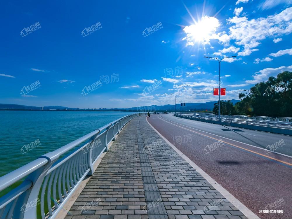 实景图