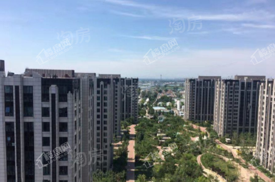 实景图