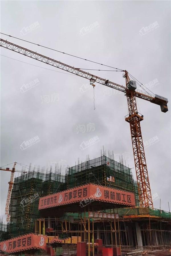 中南春风南岸实景图