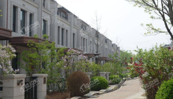 新世界丽樽实景图