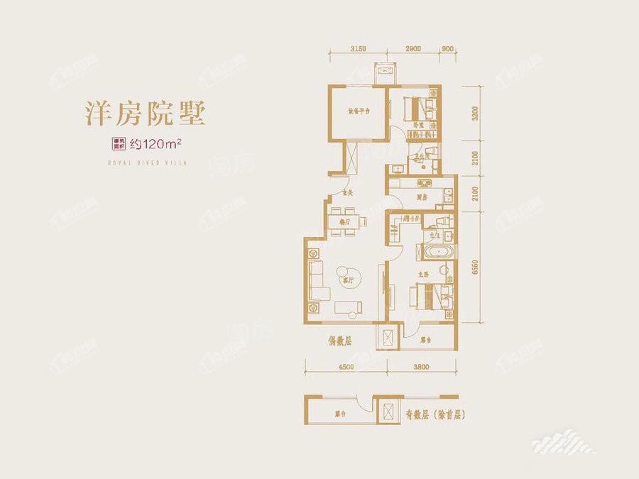 户型图片