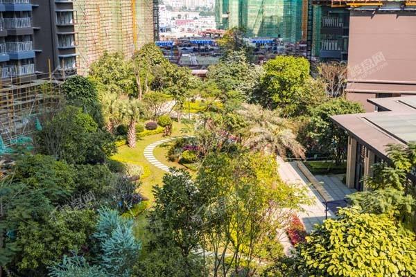 荣和半山华府实景图