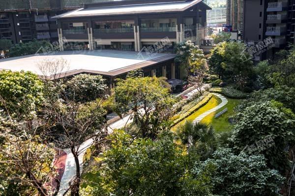 荣和半山华府实景图