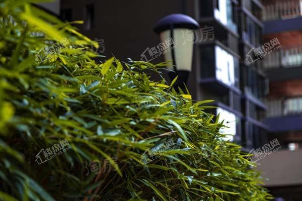 荣和半山华府实景图