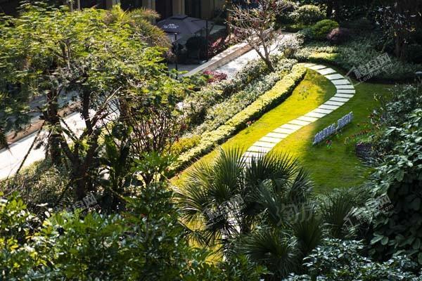 荣和半山华府实景图