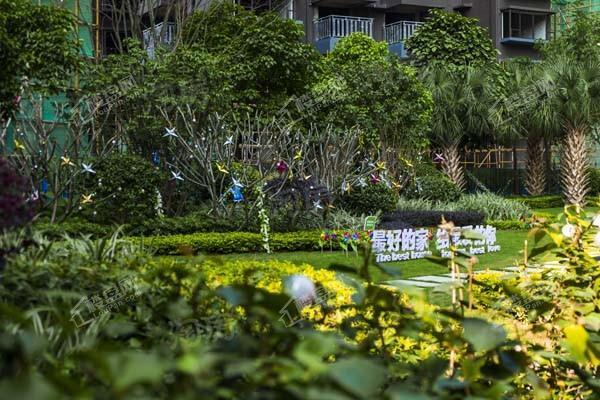 荣和半山华府实景图