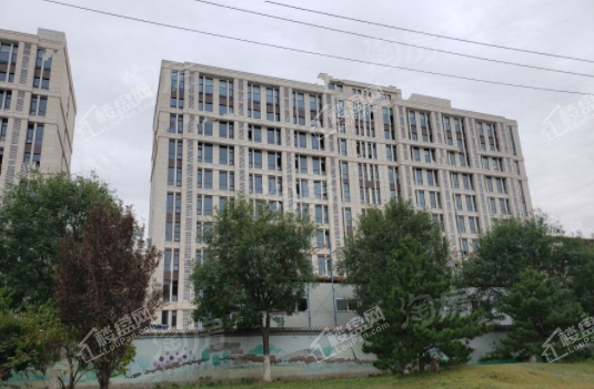 瀛海大都会实景图