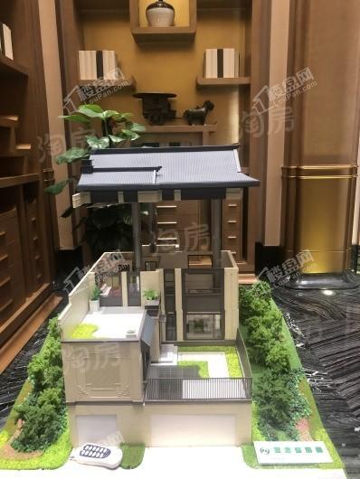 世茂莲花山小镇实景图