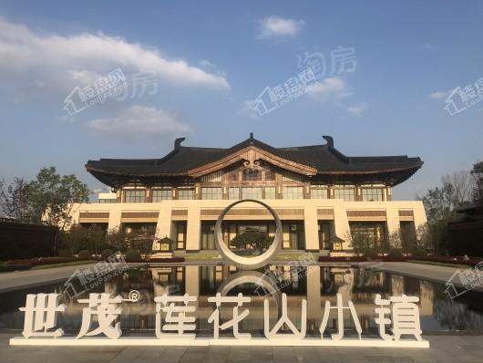 世茂莲花山小镇实景图