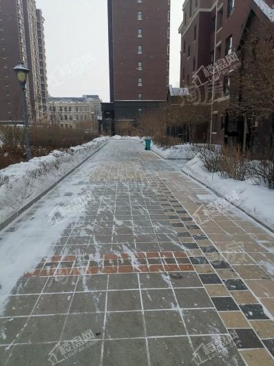 剑桥春雨实景图