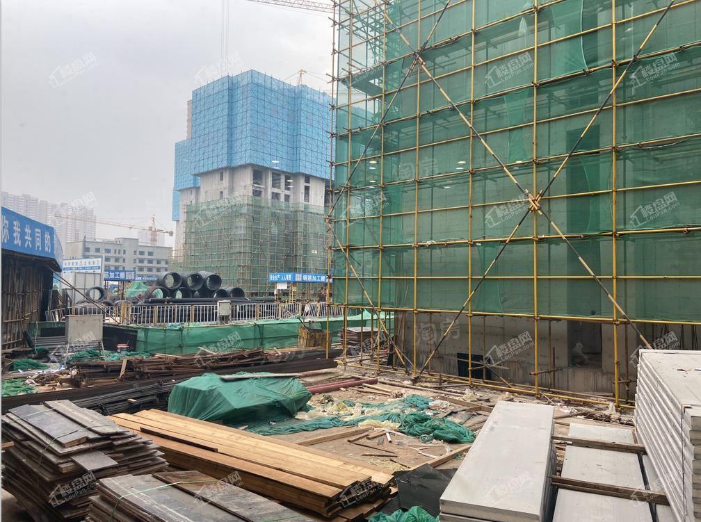 棕榈西园实景图
