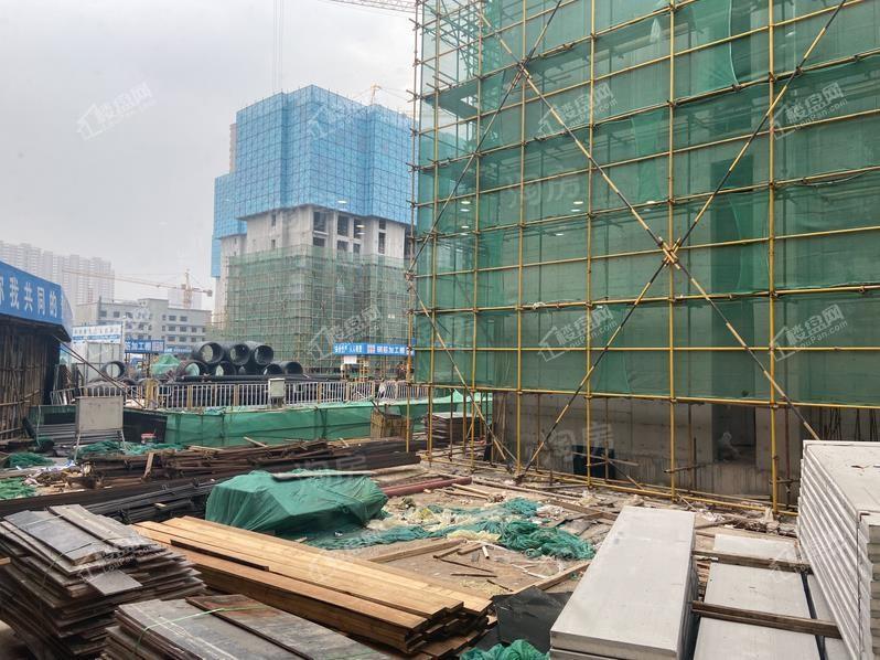 棕榈西园实景图