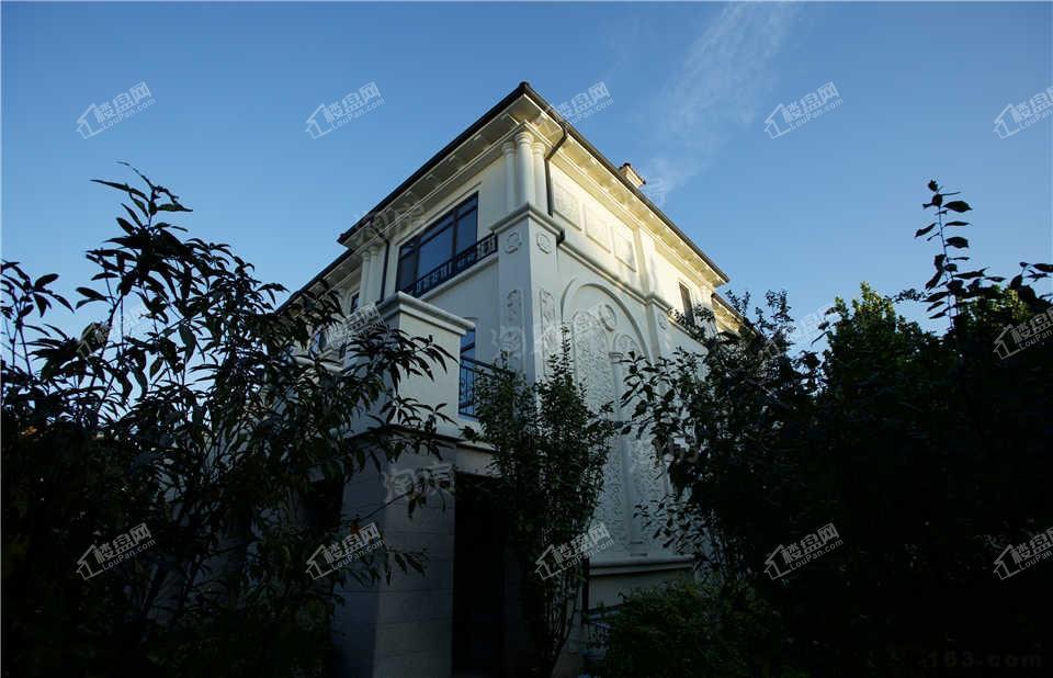 龙熙庄园实景图