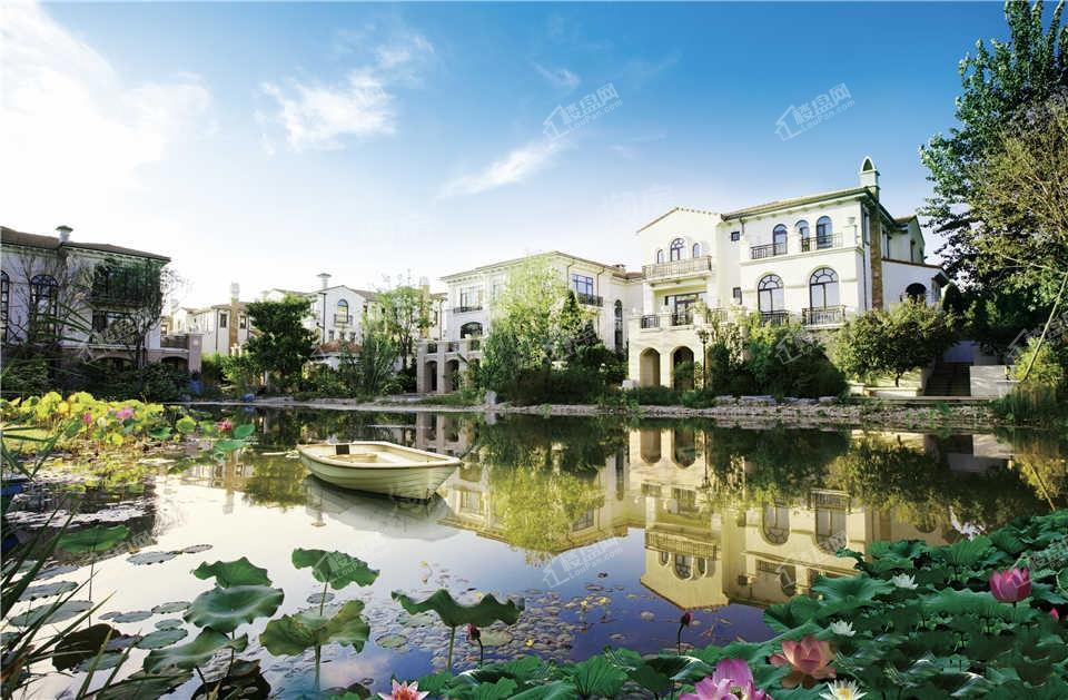 实景图