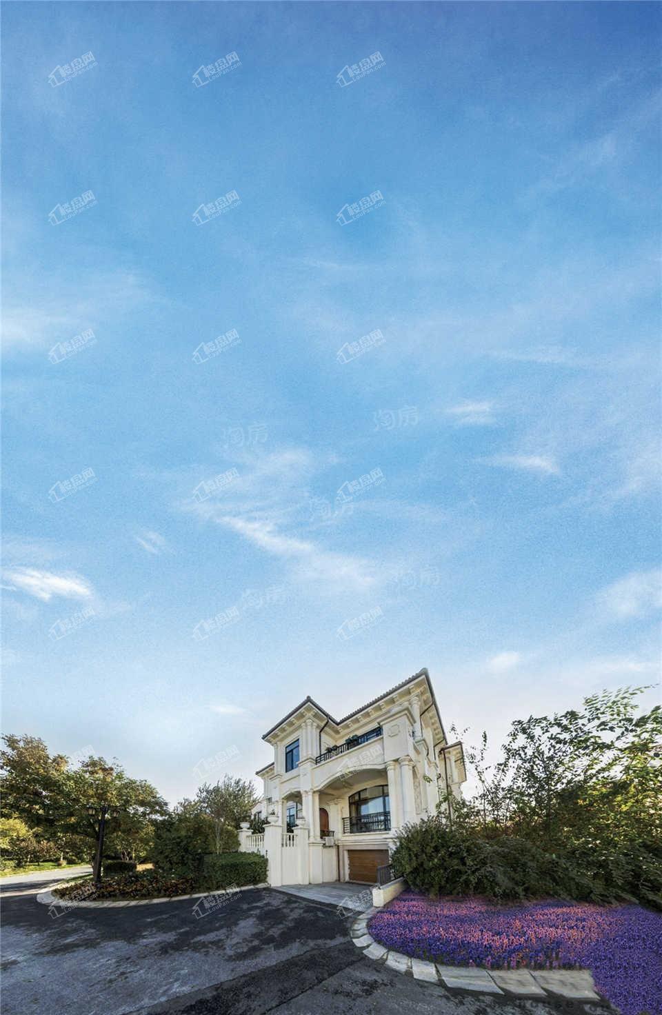 龙熙庄园实景图