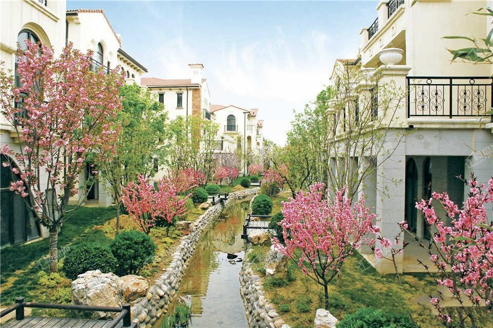龙熙庄园实景图