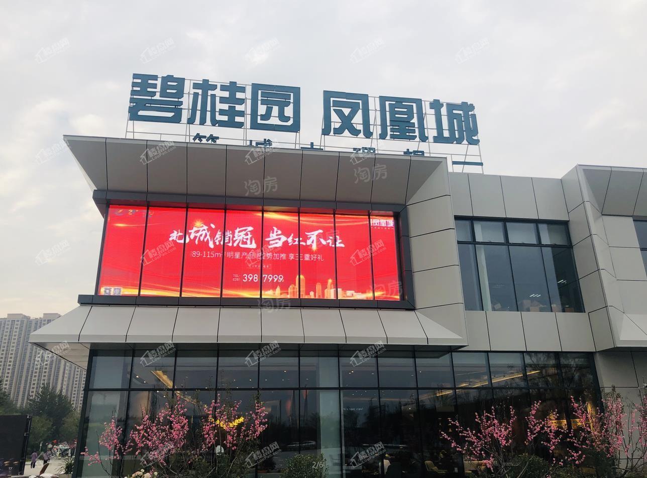 碧桂园凤凰城实景图
