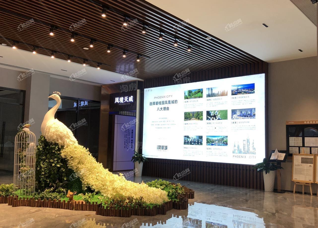 碧桂园凤凰城实景图
