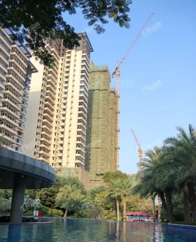 彰泰红实景图